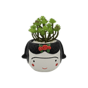 Maceta Frida (con plantita artificial)